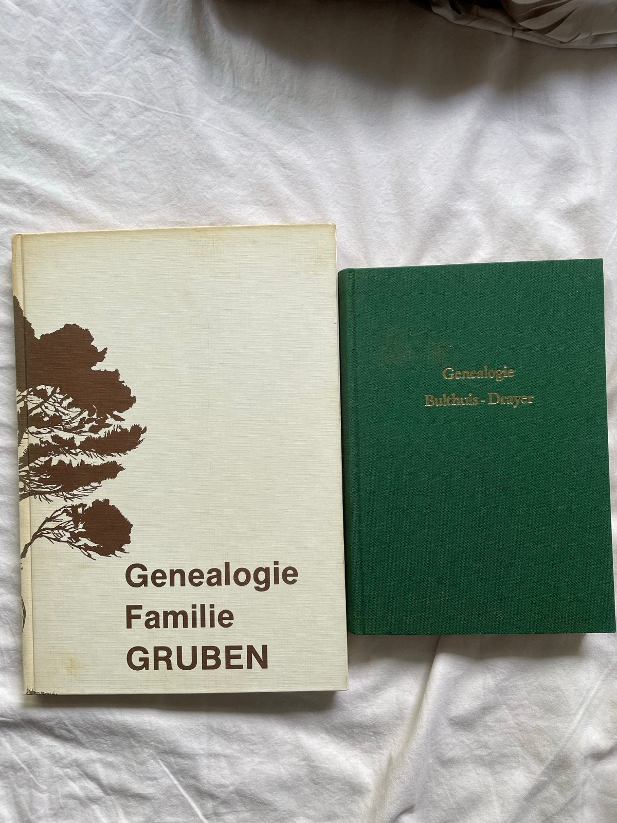 Genealogie Gruben & Bulthuis-Dreyer, Ophalen of Verzenden, 20e eeuw of later, Gelezen