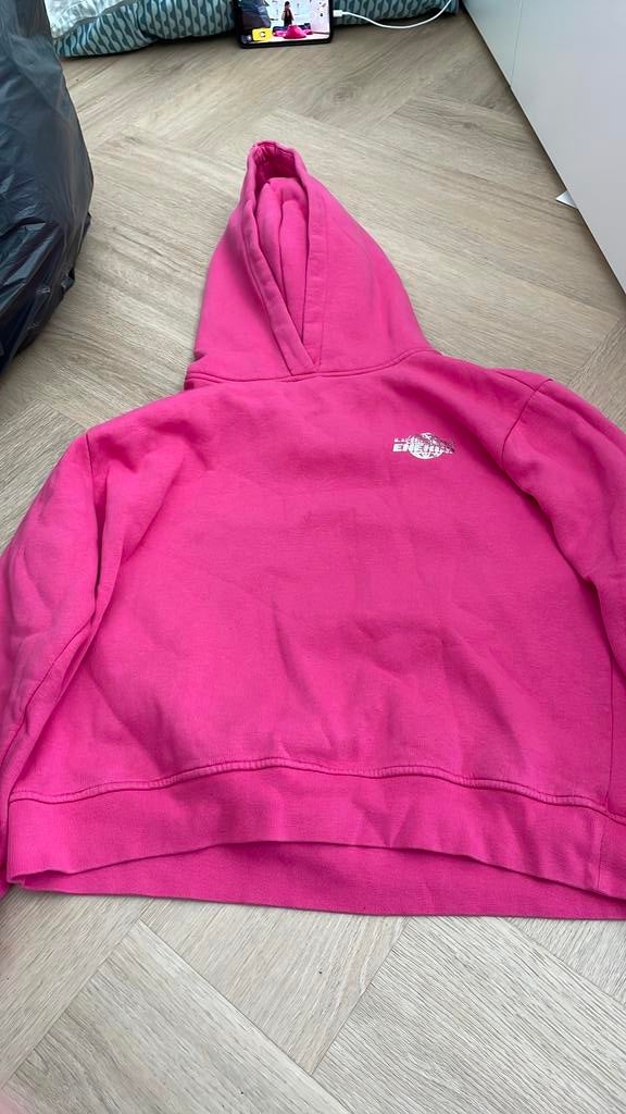 The sting hoodie, Ophalen of Verzenden, Zo goed als nieuw, Maat 38/40 (M), Roze