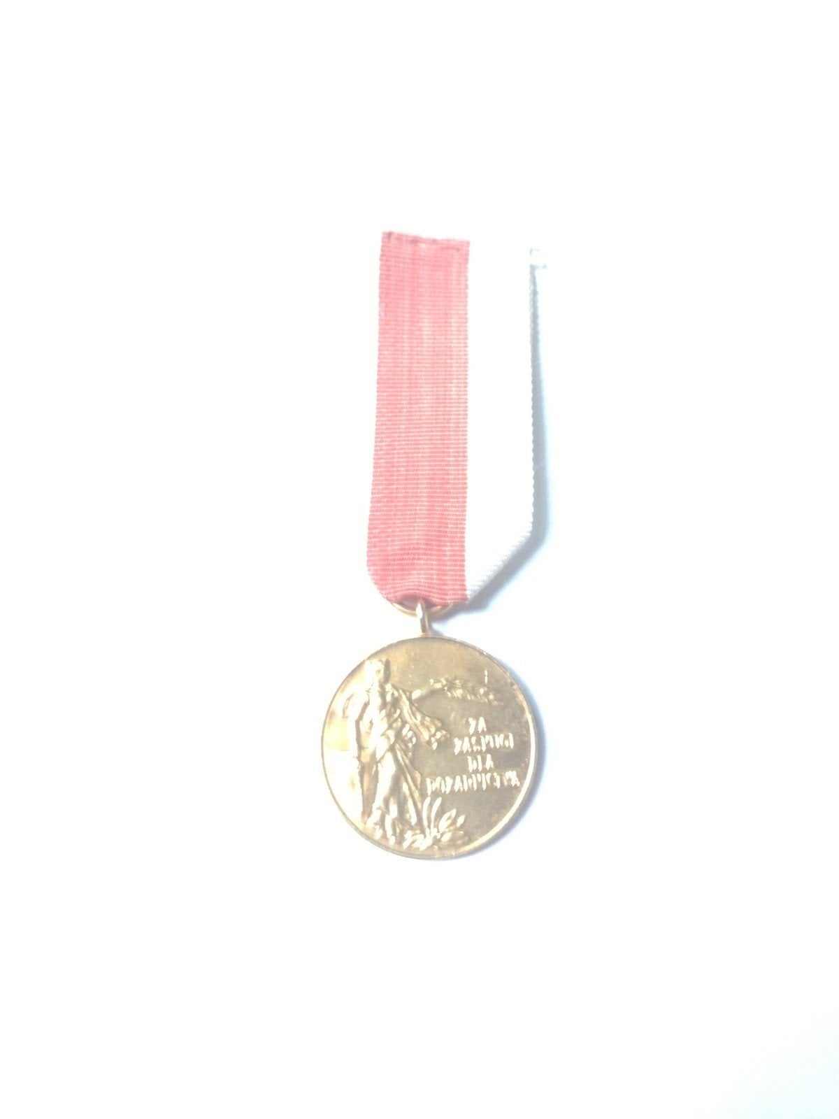 Brandweer polen medaille vrijwilligers BW goud, Ophalen of Verzenden, Overige soorten, Overige gebieden, Lintje, Medaille of Wings