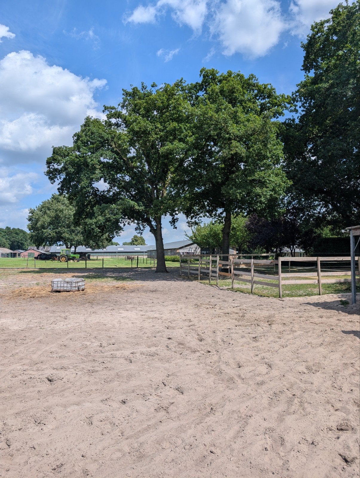 24/7 vrije uitloop stal met paddock en weidegang, Dieren en Toebehoren, Stalling en Weidegang, Weidegang