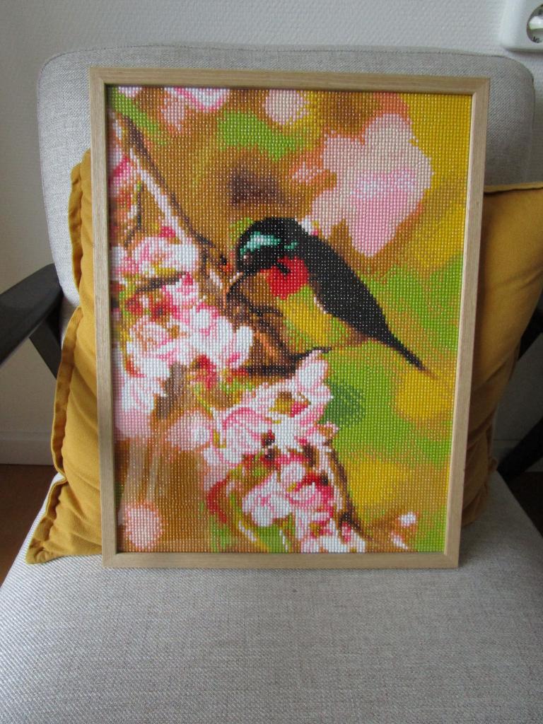 Ingelijste diamond painting - vogel op bloesemtak, Minder dan 50 cm, Overige typen, Ophalen of Verzenden, Zo goed als nieuw