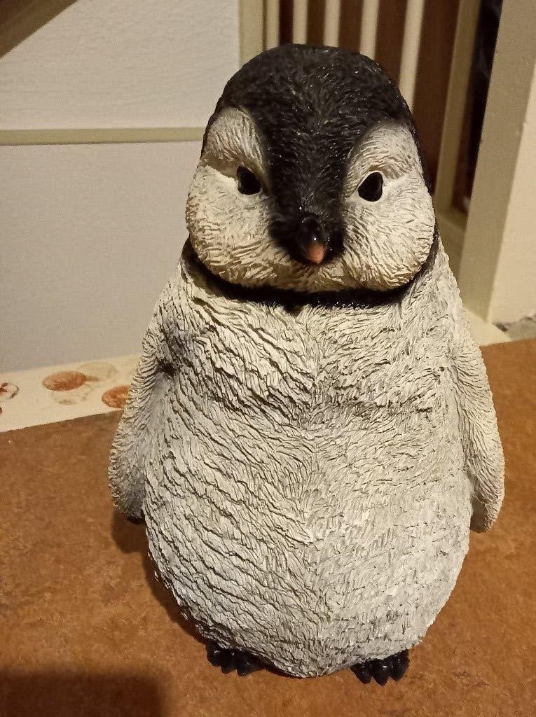 pinguin, Ophalen of Verzenden, Zo goed als nieuw, Dier
