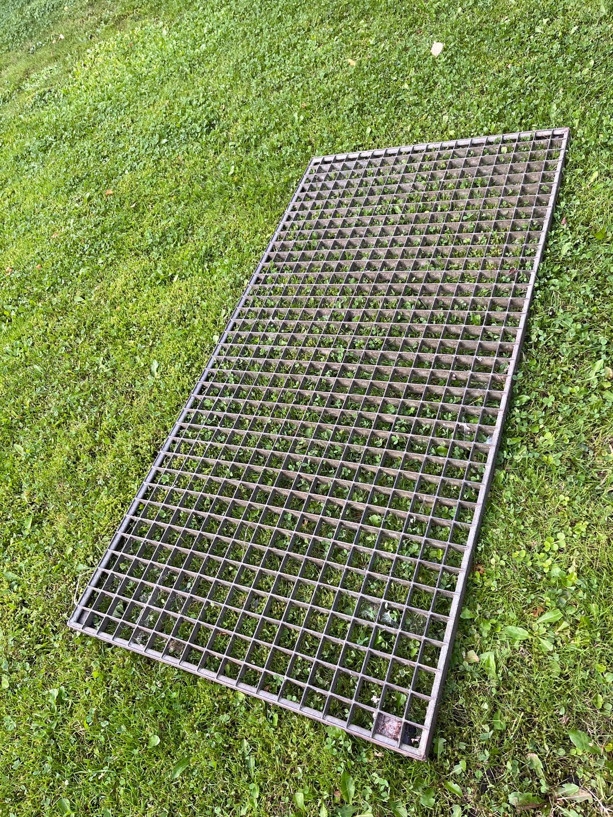 Multifunctioneel stalen rooster, Schoon- en droogloper., Tuin en Terras, Ophalen, Gebruikt, Gietijzer