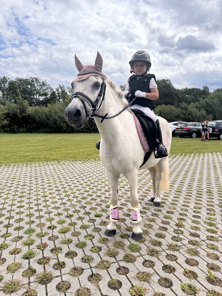 Aangeboden: Verzorgpony in Oud Gastel!, Verzorging of Verzorgpony's