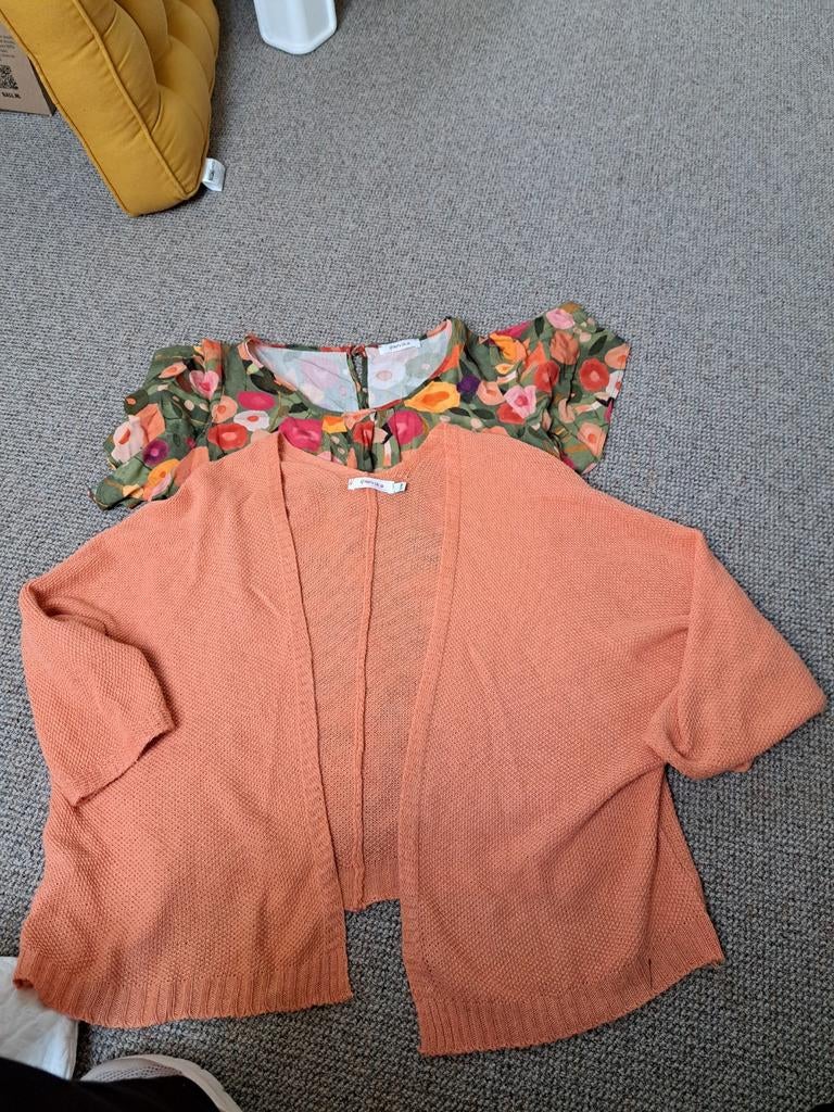 Top en vestje Paprika, Ophalen of Verzenden, Zo goed als nieuw, Korte mouw, Maat 36 (S)