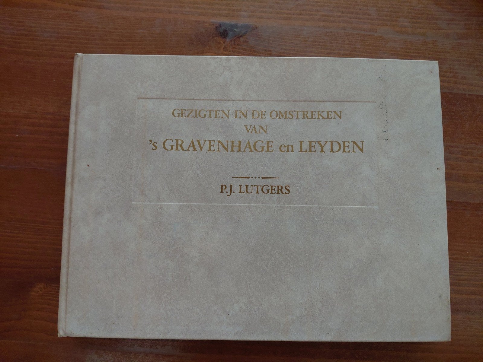P.J Lutgers Gezigten id Omstreken v 's Gravenhage en Leyden, Ophalen of Verzenden, Gelezen