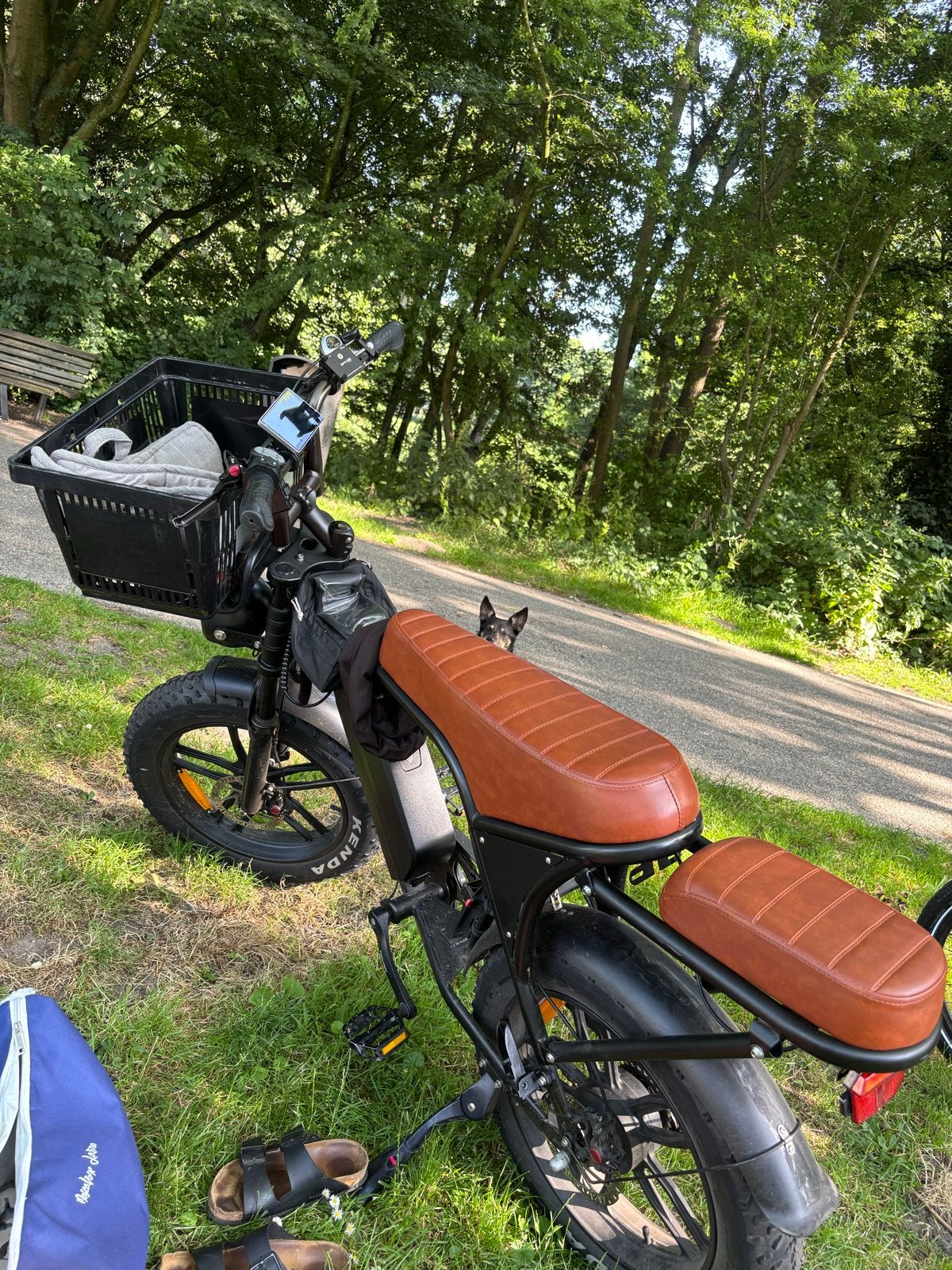 Ouxi C80 Fatbike met extra's: alarm, hoezen en sloten, 59 cm of meer, Ophalen of Verzenden, Zo goed als nieuw, Overige merken