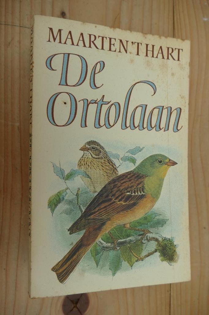 Maarten ’t Hart – De ortolaan, Ophalen of Verzenden, Gelezen, Maarten ’t Hart