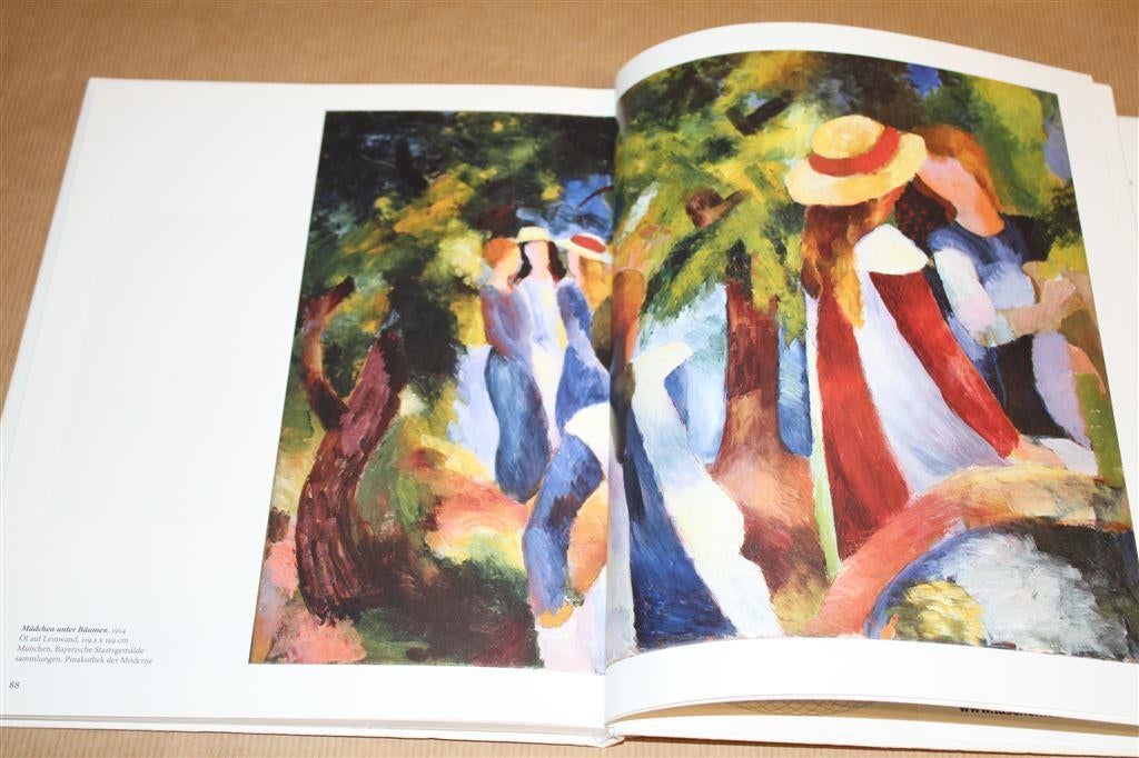 Boek over de werken van August Macke., Ophalen of Verzenden, Gelezen