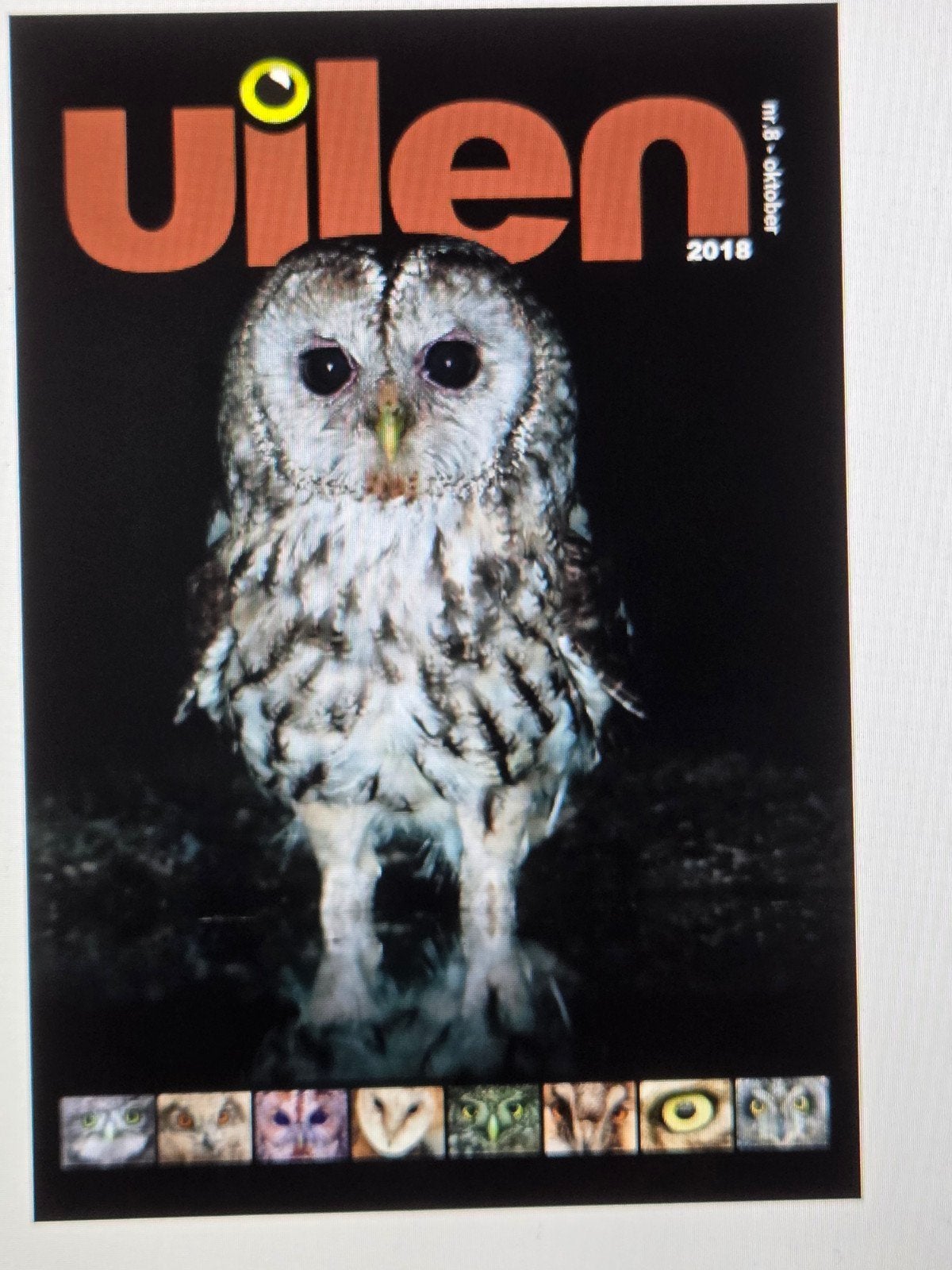 GEZOCHT/ GEVRAAGD: het tijdschrift UILEN, delen 1 t/m10, Boeken, Natuur, Ophalen of Verzenden, Zo goed als nieuw, Natuur algemeen