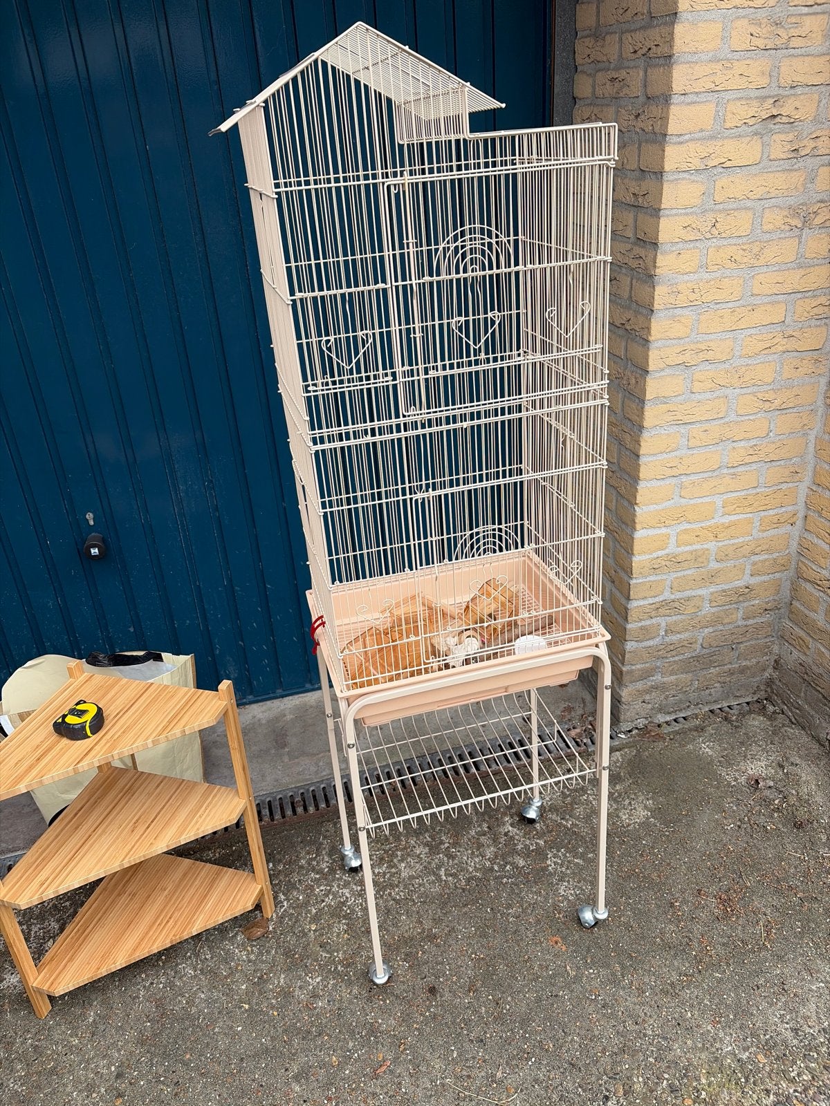 Vogelkooi, Ophalen, Zo goed als nieuw, Metaal, Vogelkooi