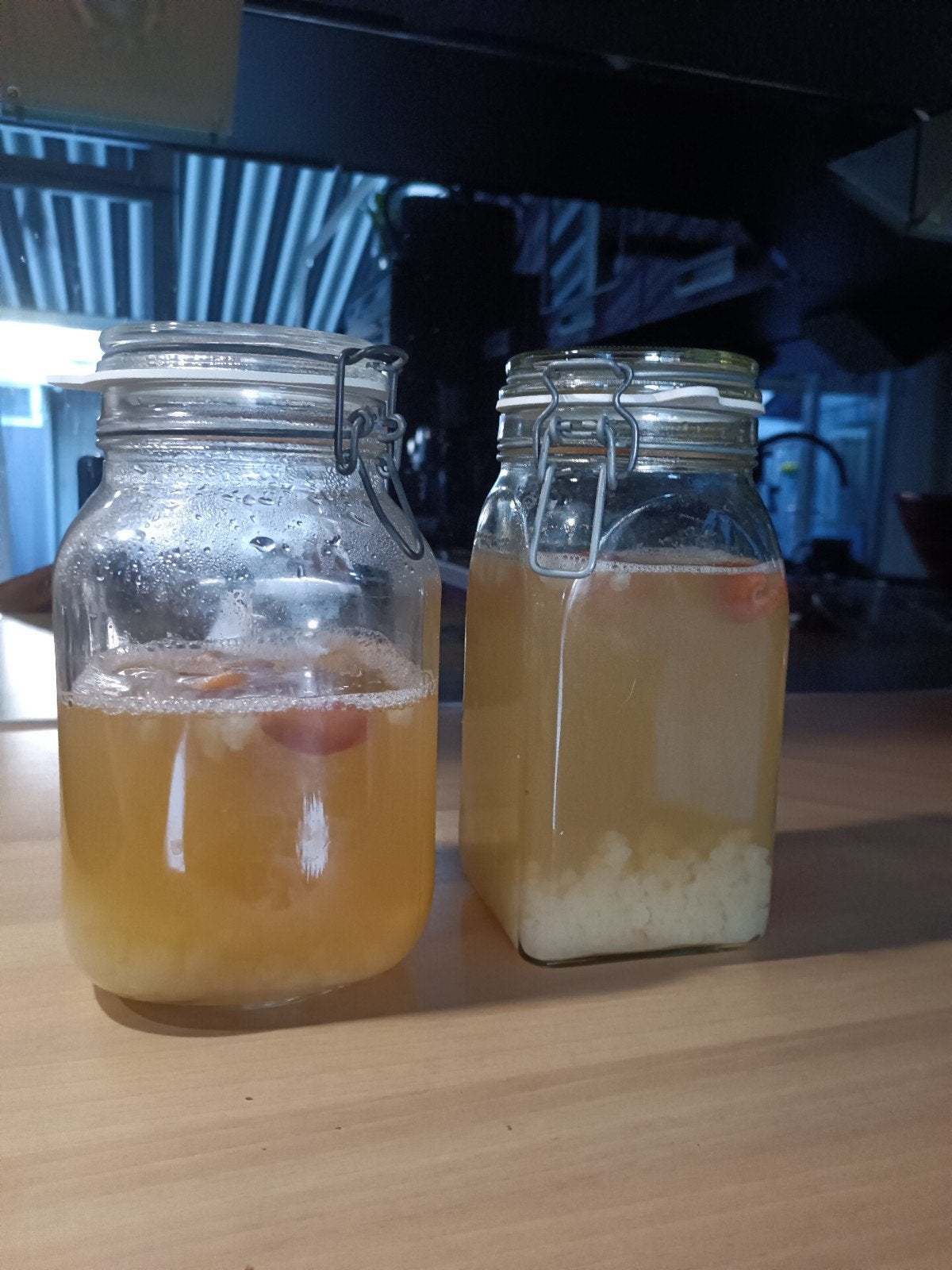 gratis af te halen Water Kefir korrels, Ophalen