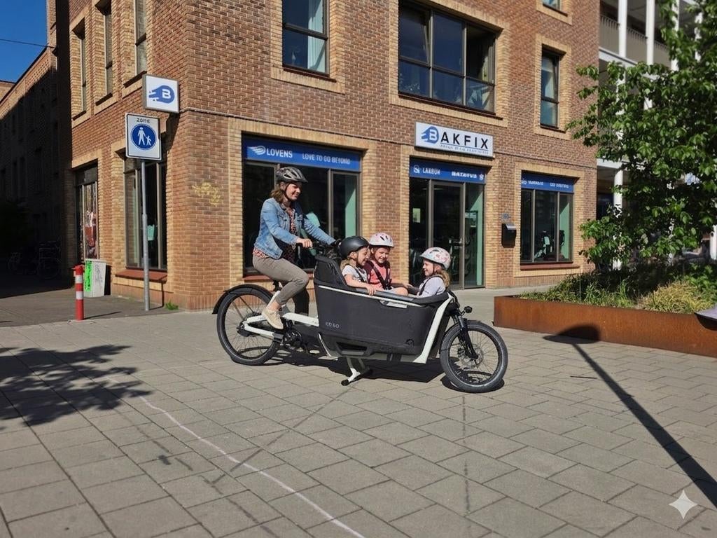 Elektrische CA GO Bakfiets - Ideaal voor Gezin en Goederen