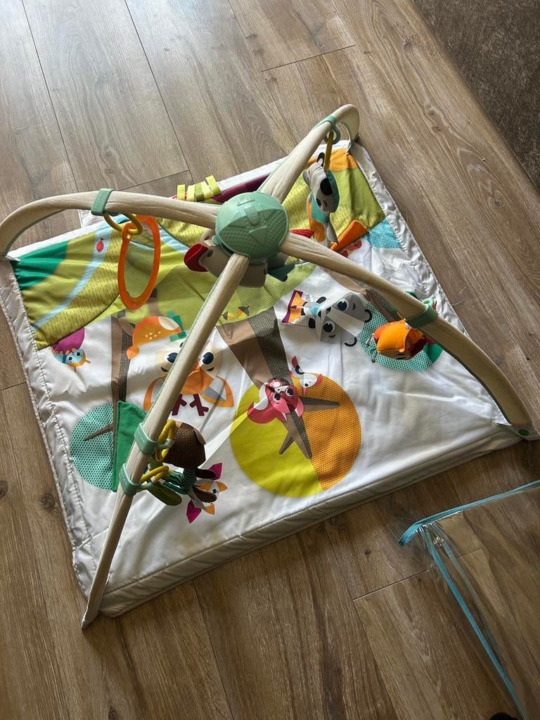 Speelkleed Tiny Love, Ophalen, Zo goed als nieuw