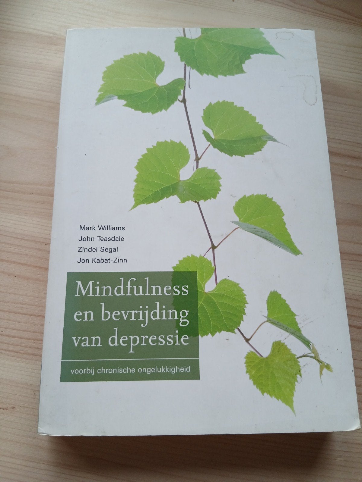 Mindfulness en bevrijding van depressie - Mark Williams, Boeken, Gelezen, Mark Williams, John Teasdale, Zindel Segal, Jon Kabat-Zinn