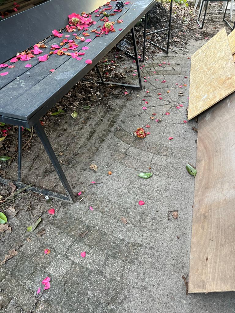 Gebruikte Klinkers en Terrastegels - Diverse Materialen, Ophalen, Gebruikt, Klinkers, 10 m² of meer