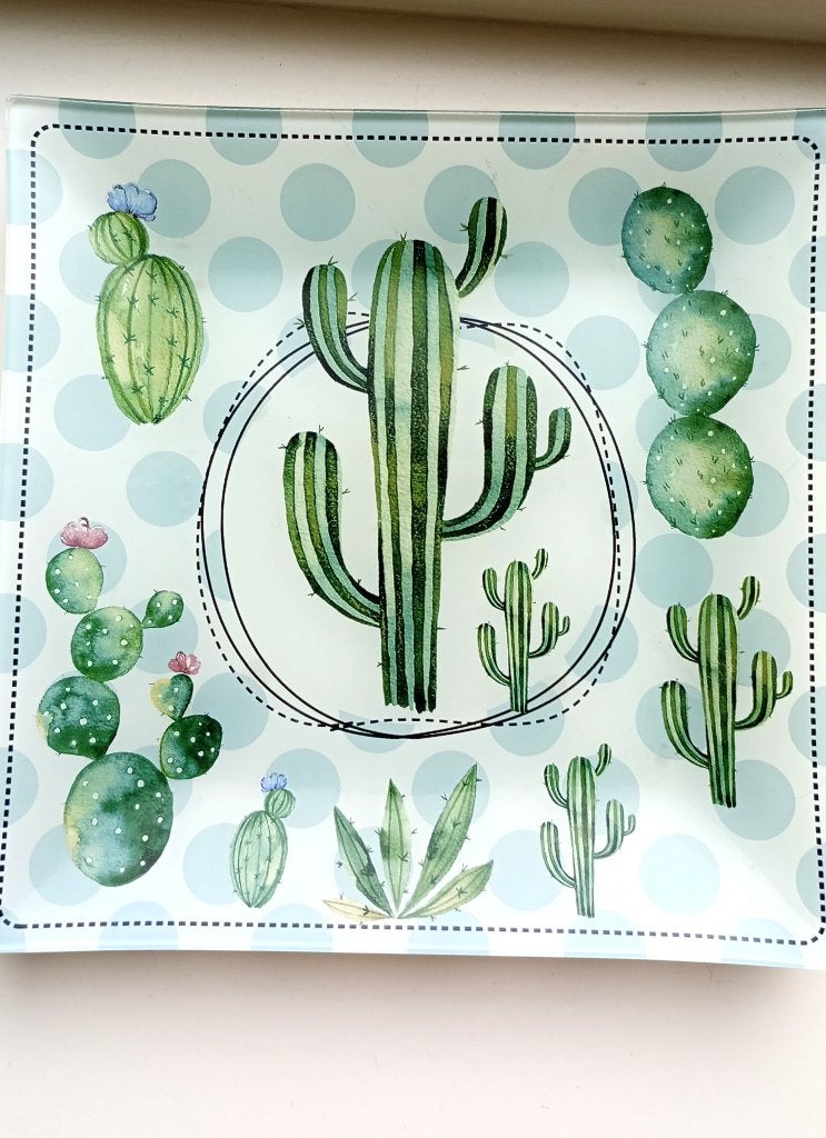 Sale! Karwei schaaltje met cactus nieuw, Nieuw, Ophalen of Verzenden, Overige stijlen, Glas