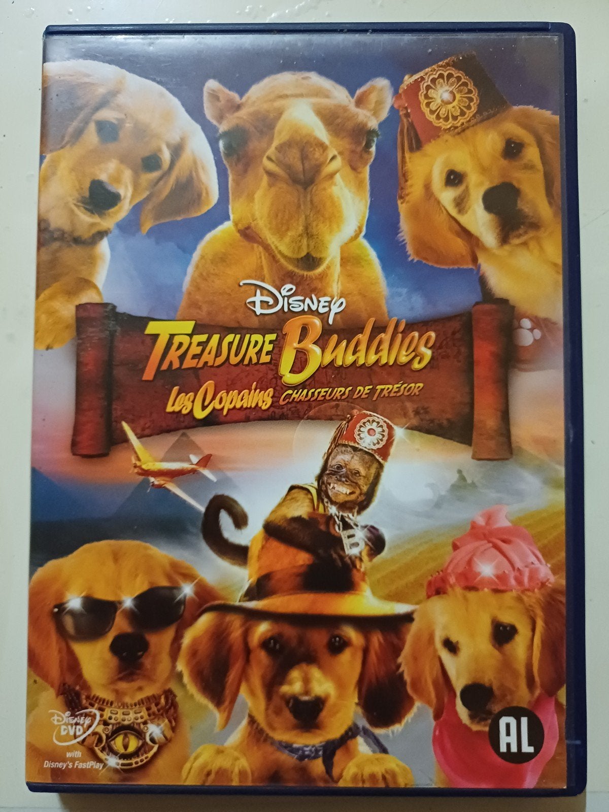 Treasure Buddies, Alle leeftijden, Ophalen of Verzenden, Zo goed als nieuw