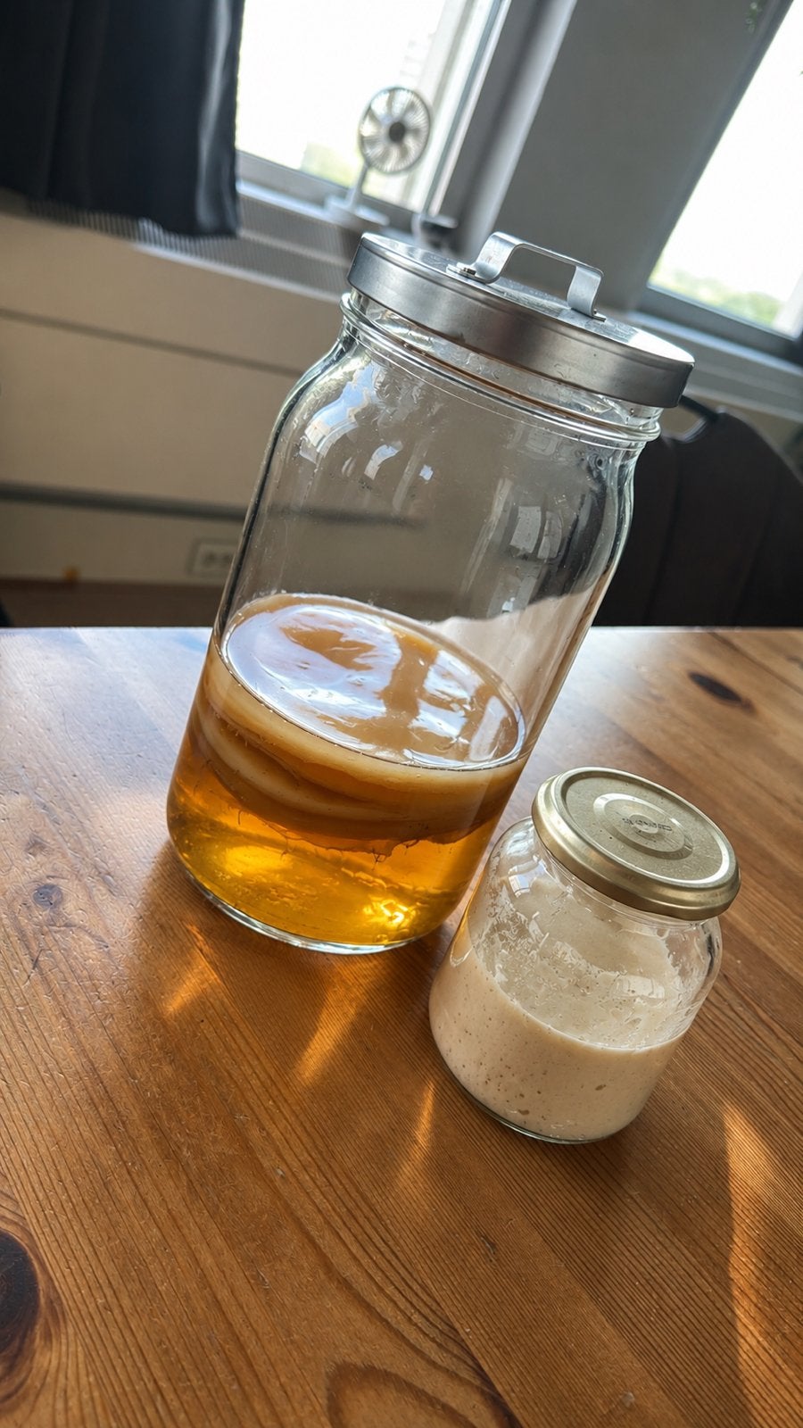 Scoby & Desemstarter, Diversen, Levensmiddelen, Ophalen