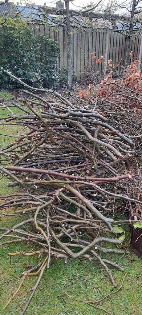Brandhout snoeihout paasvuur houtwal, Tuin en Terras, Haardhout, Minder dan 3 m³, Ophalen, Overige houtsoorten, Takken
