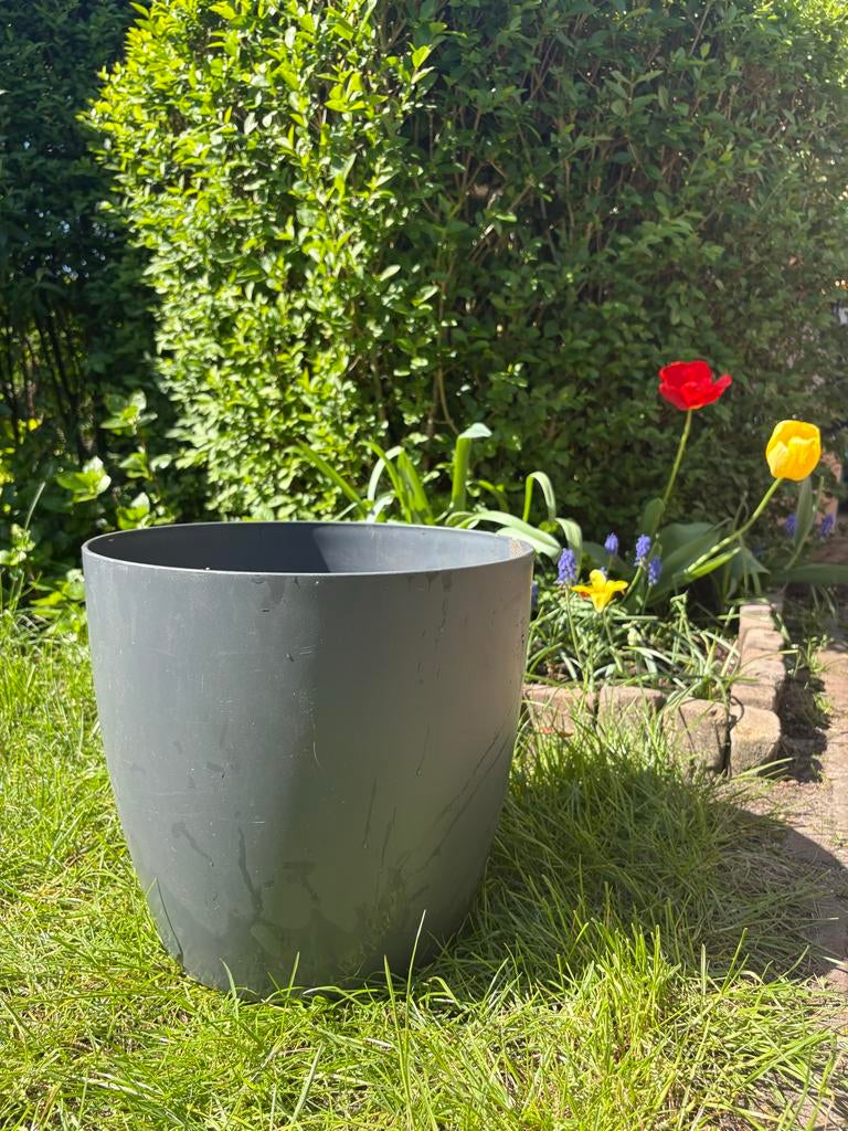 Elho bloempot grijs 35 cm diameter, met wielen, Ophalen, Kunststof, Minder dan 60 cm, Rond