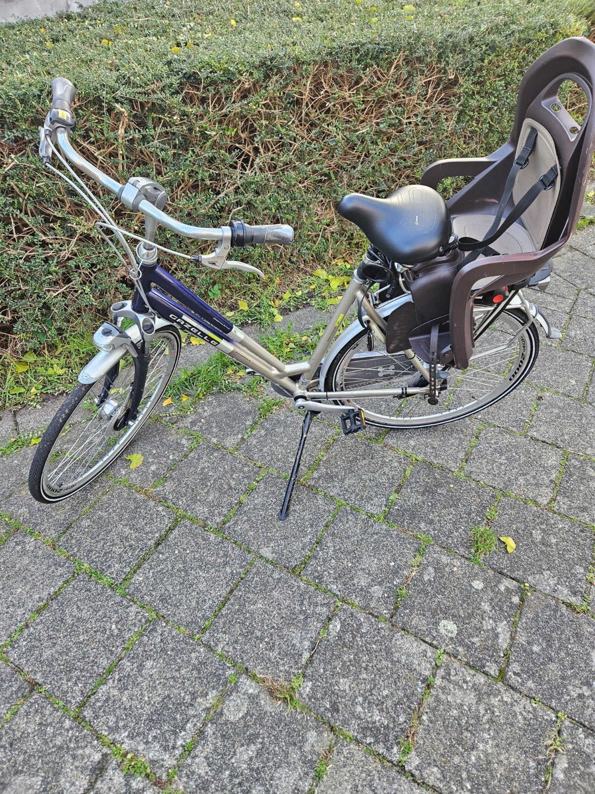 grijs ,gazelle, Ophalen, Gazelle