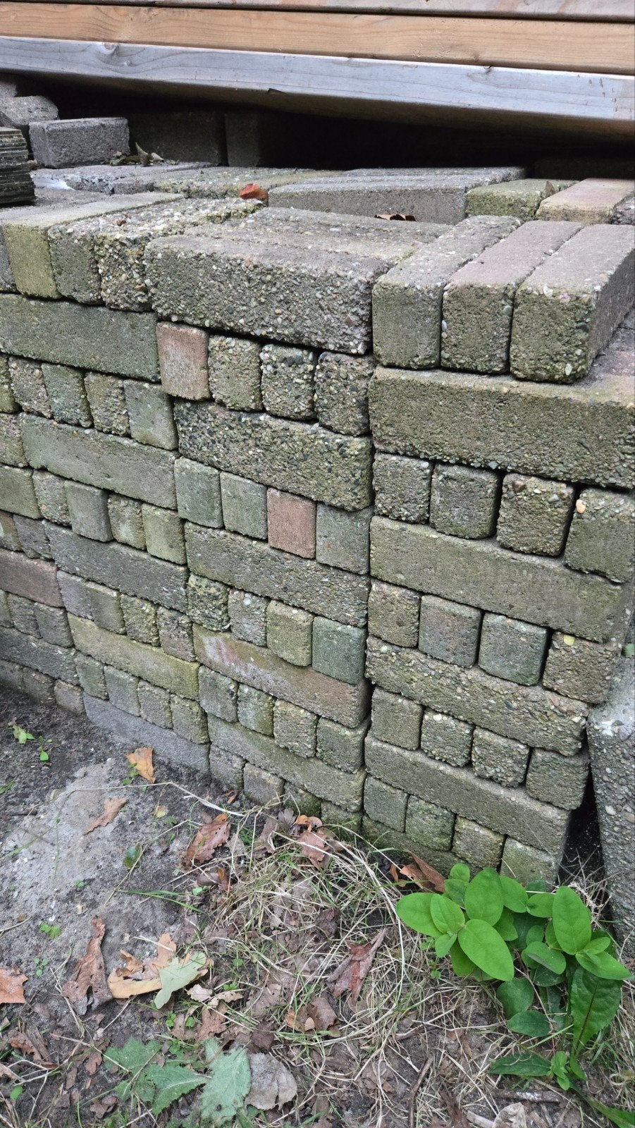 GRATIS gebruikte betonklinkers 20x5x6cm, Ophalen, Gebruikt, Klinkers, 10 m² of meer