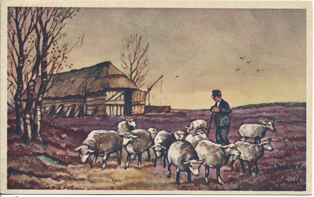 De Veluwe ? - Schaapskudde-Schaapherder-Heide Landschap, Verzamelen, Ophalen of Verzenden, 1940 tot 1960, Gelopen, Gelderland