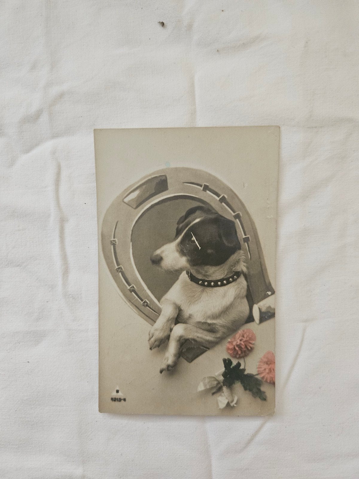 Oude ansichtkaart hond met hoefijzer, Verzamelen, Ansichtkaarten | Nederland, Gelopen, Zeeland, Voor 1920, Ophalen of Verzenden