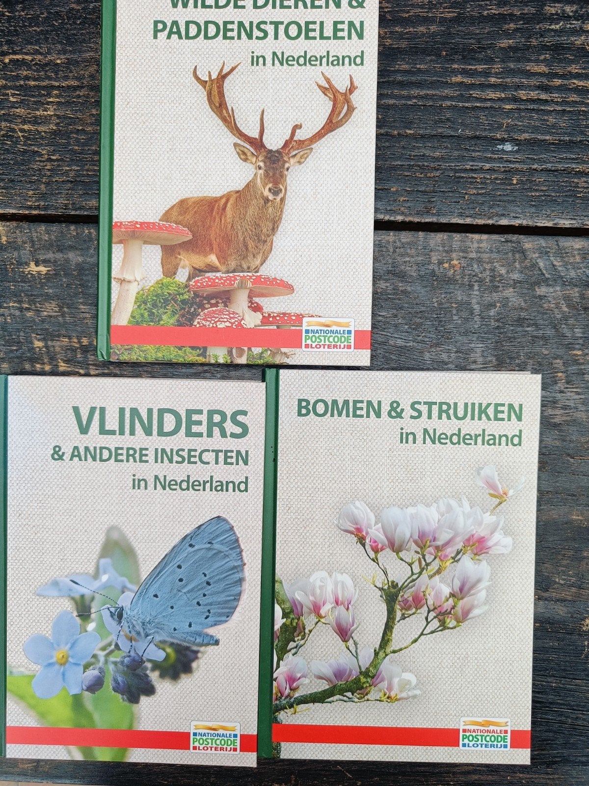 Natuurboeken: Dieren, Paddenstoelen, Vlinders, Bomen & Strui, Ophalen of Verzenden, Zo goed als nieuw, Natuur algemeen