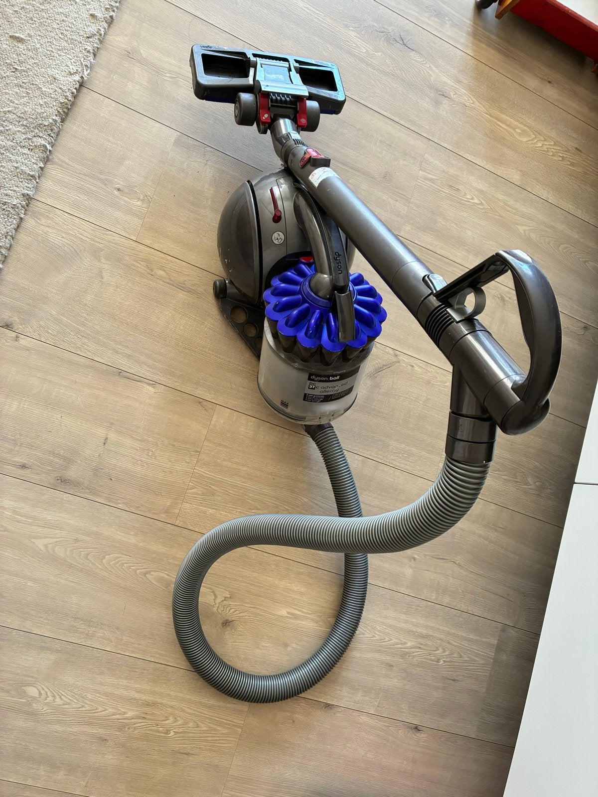 Dyson Ball DC37c Advanced Allergy Sledestofzuiger, Gebruikt, Ophalen of Verzenden, Dyson, Minder dan 1200 watt