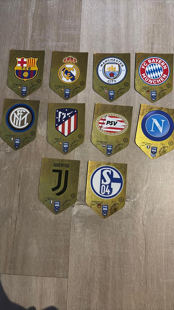Panini voetbalkaarten 2019, Maat XS of kleiner, Ophalen of Verzenden, Zo goed als nieuw