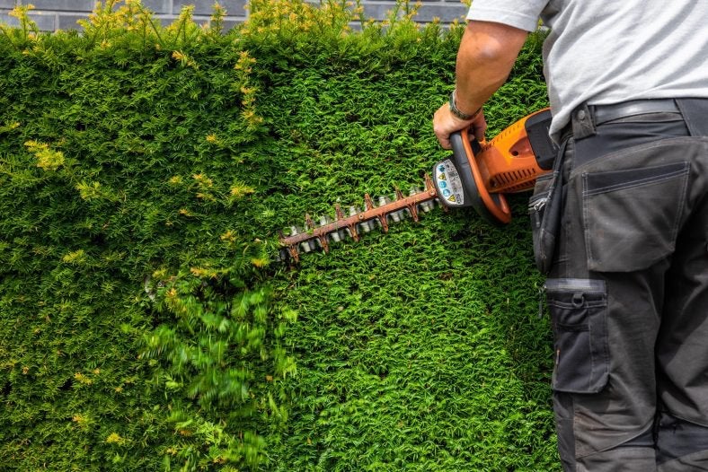 Tuinman gezocht?, Ophalen of Verzenden, Overige typen