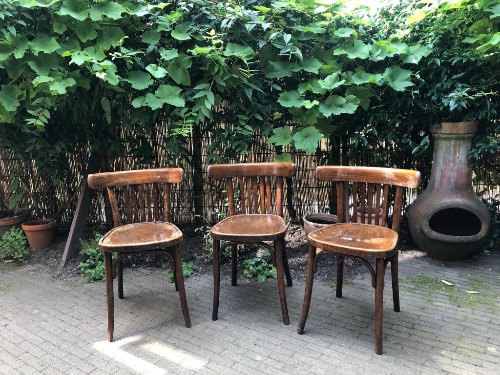 3 originele Thonet café stoelen, Ophalen, Thonet caféstoel, Gebruikt, Hout