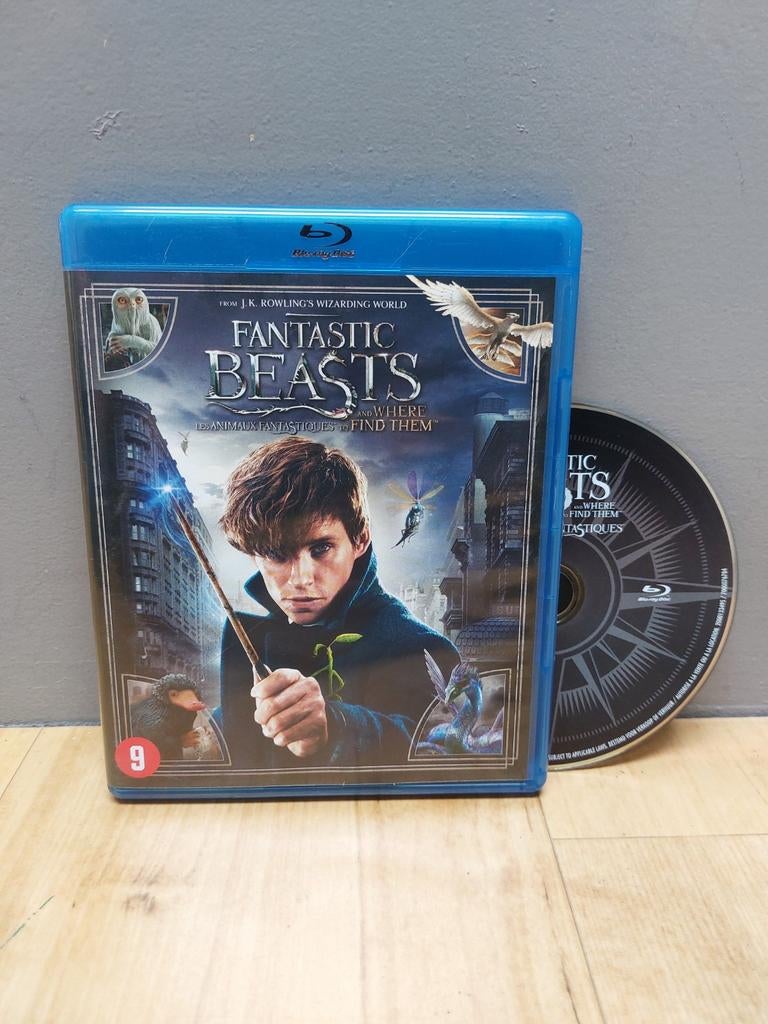 Fantastic Beasts and Where to Find Them (Blu-Ray), Cd's en Dvd's, Blu-ray, Ophalen of Verzenden, Zo goed als nieuw, Science Fiction en Fantasy
