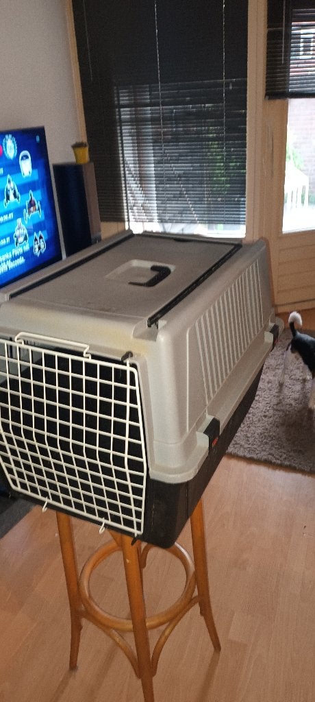 Honden reis bench, Ophalen, Zo goed als nieuw
