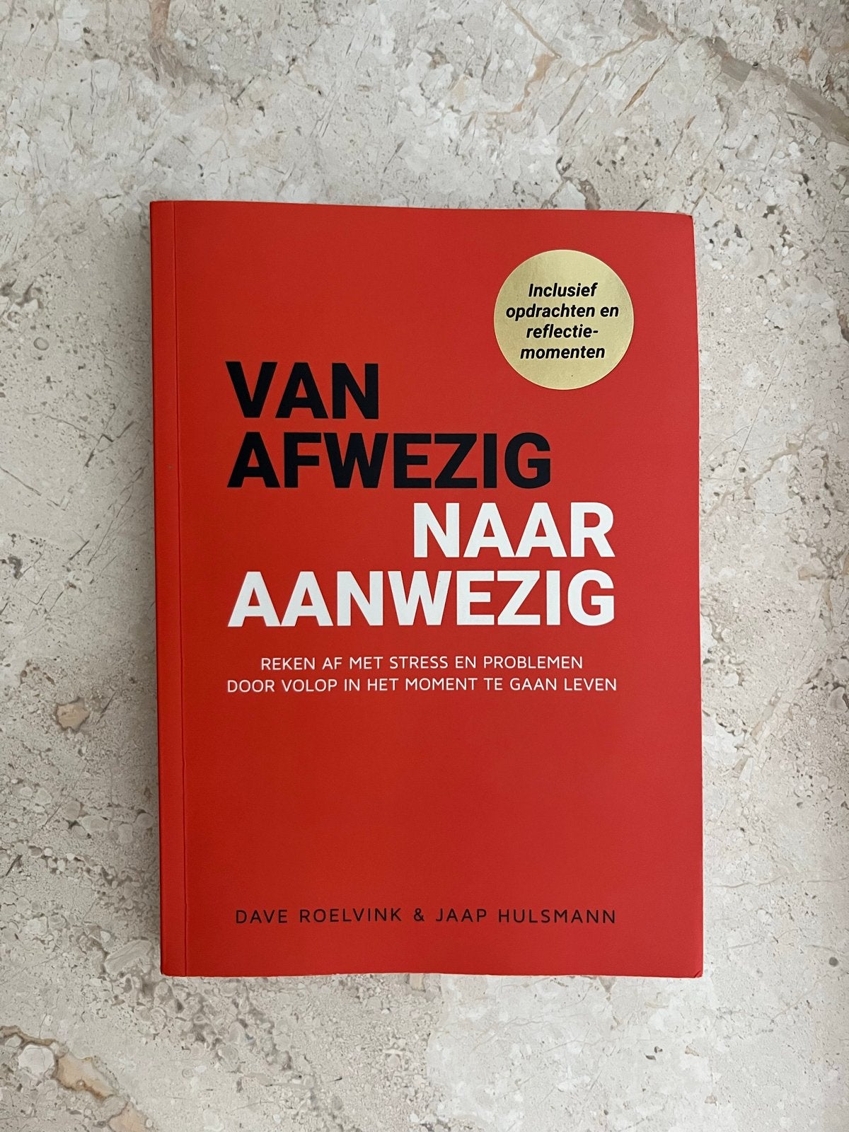 Van Afwezig Naar Aanwezig - Dave Roelvink & Jaap Hulsmann, Ophalen of Verzenden, Zo goed als nieuw, Nederland
