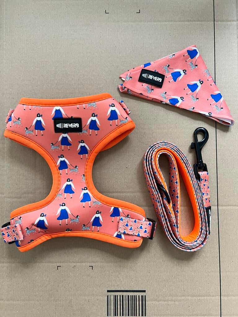 Oranje set voor kleine hond: tuigje, riem & bandana, Ophalen of Verzenden, Handgemaakt, Nieuw
