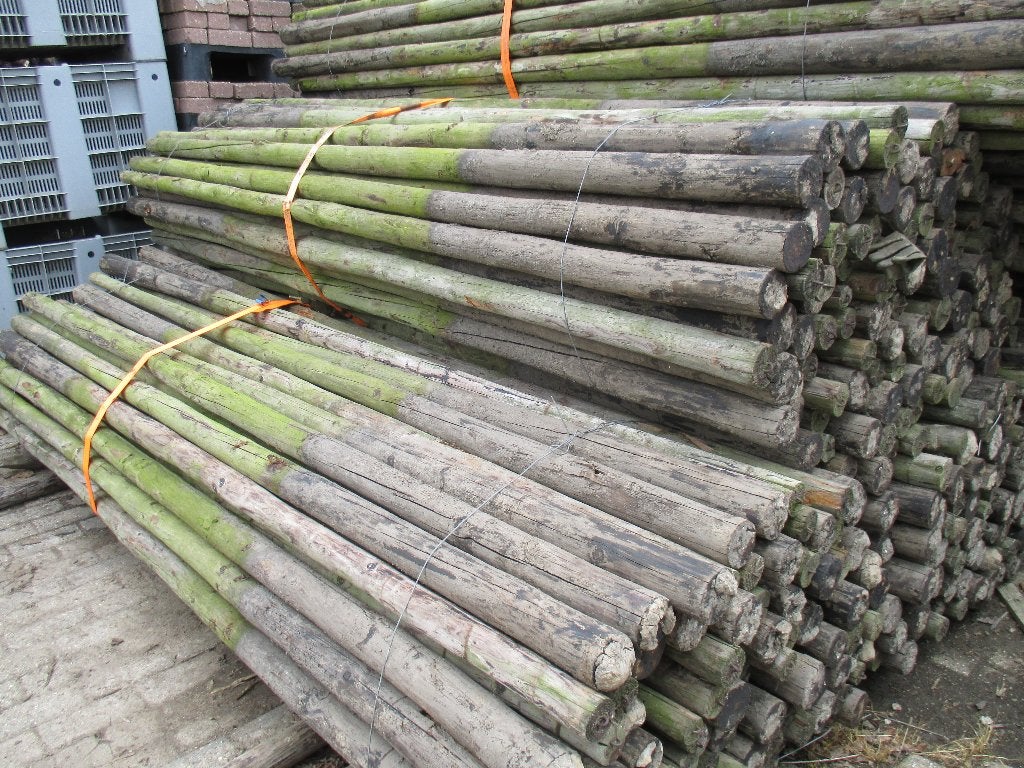 boompalen   lang 250  cm  dik  6  cm, Tuin en Terras, Ophalen, Gebruikt, 250 cm of meer, Palen