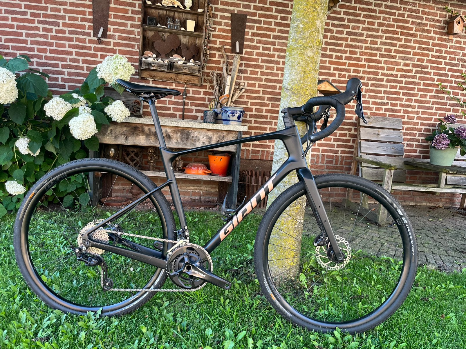 Gaint revolt maat L gravelbike shimano GRX, Ophalen, Gebruikt, Carbon, Giant