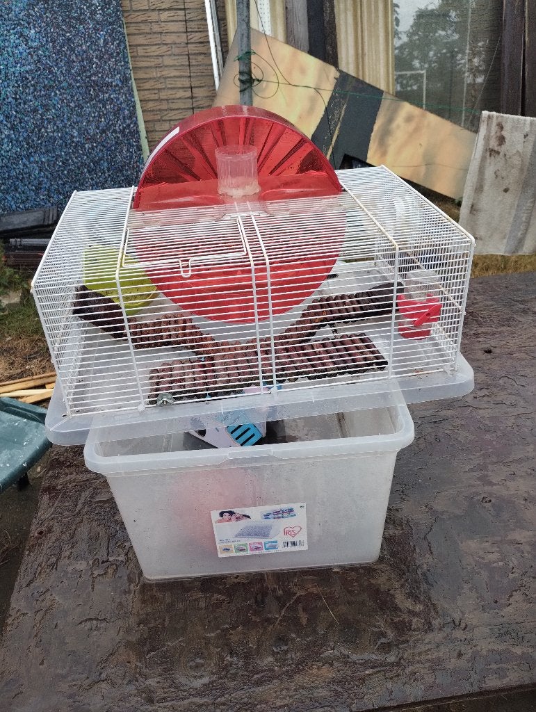 Hamsterkooi, Kooi, Gebruikt, Minder dan 75 cm, Rat