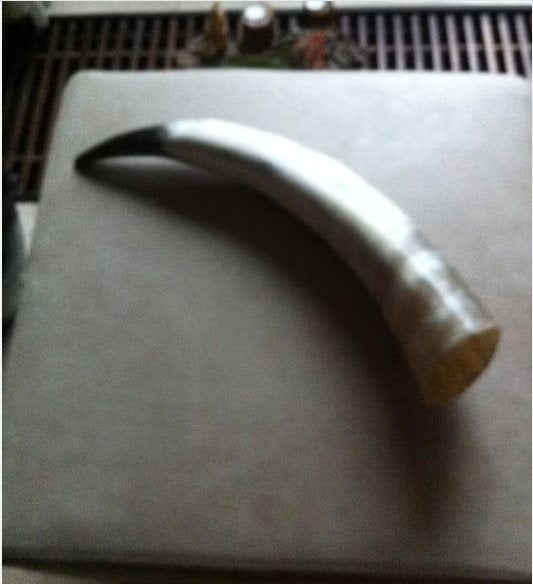 Decoratie Stier hoorn lengte 46 cm, Ophalen of Verzenden, Zo goed als nieuw, Wild dier, Beeldje of Figuurtje