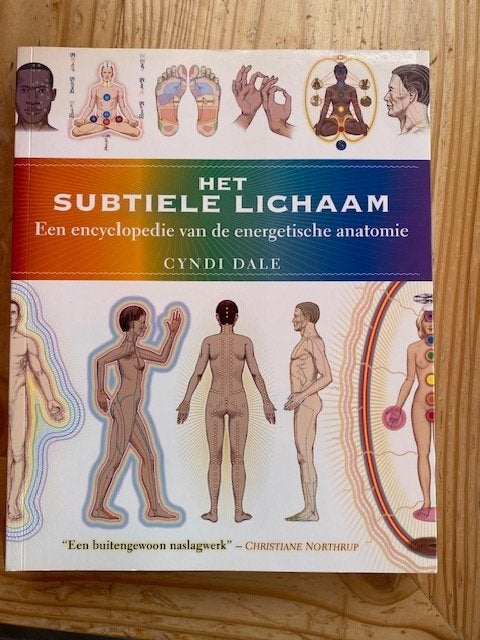 Het Subtiele Lichaam - Energetische Anatomie - Cyndi Dale, Boeken, Ophalen of Verzenden, Nieuw