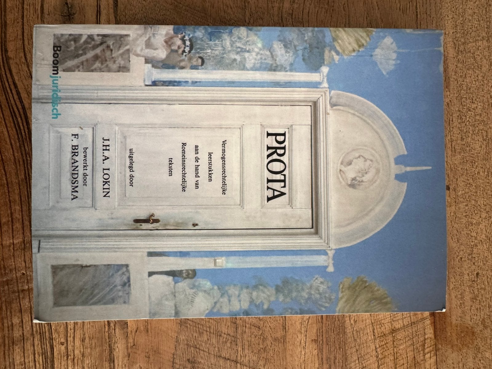 J.H.A. Lokin - Prota, Ophalen of Verzenden, Zo goed als nieuw, J.H.A. Lokin