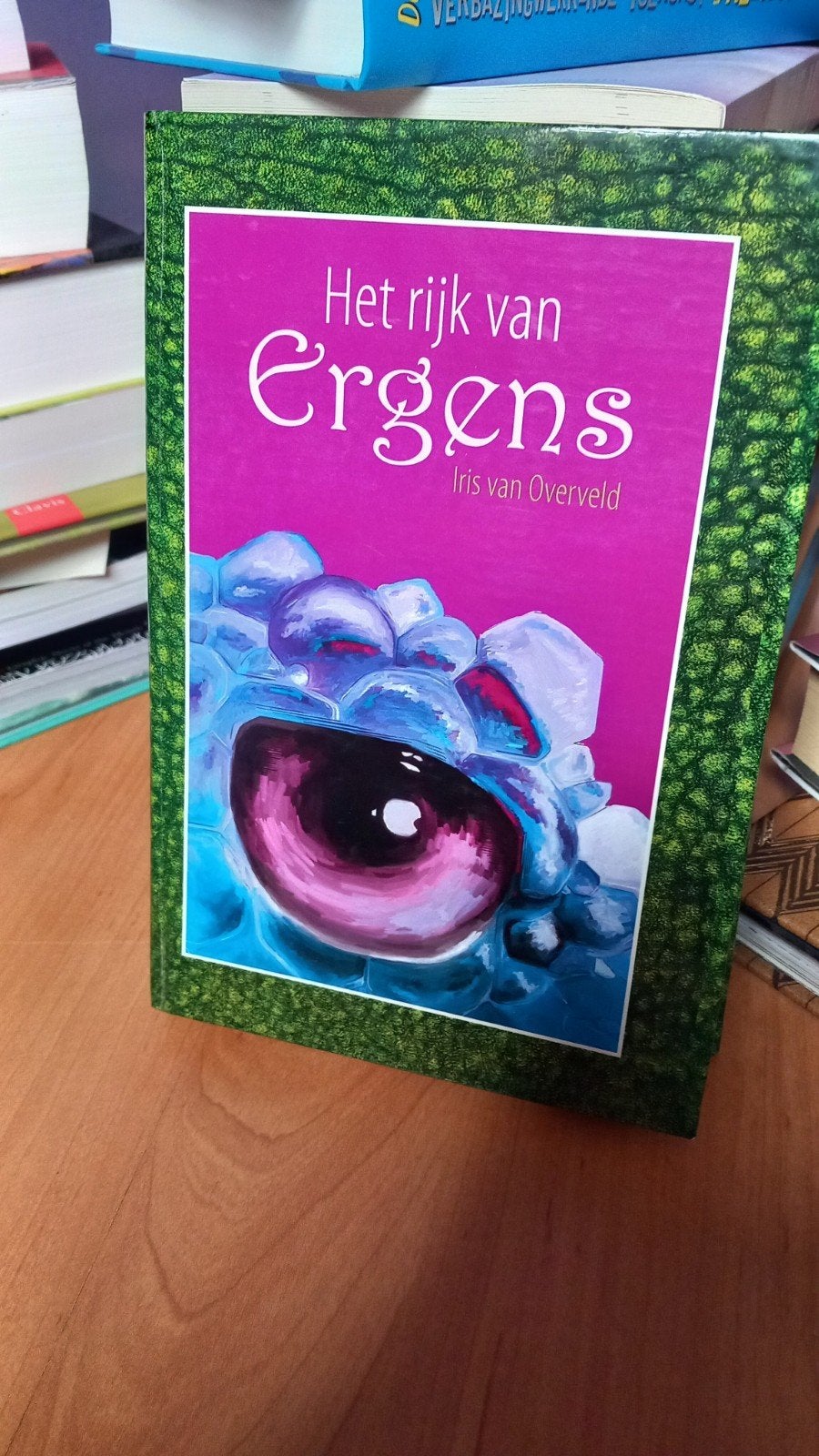 Het Rijk van Ergens - Iris van Overveld, Ophalen of Verzenden, Zo goed als nieuw