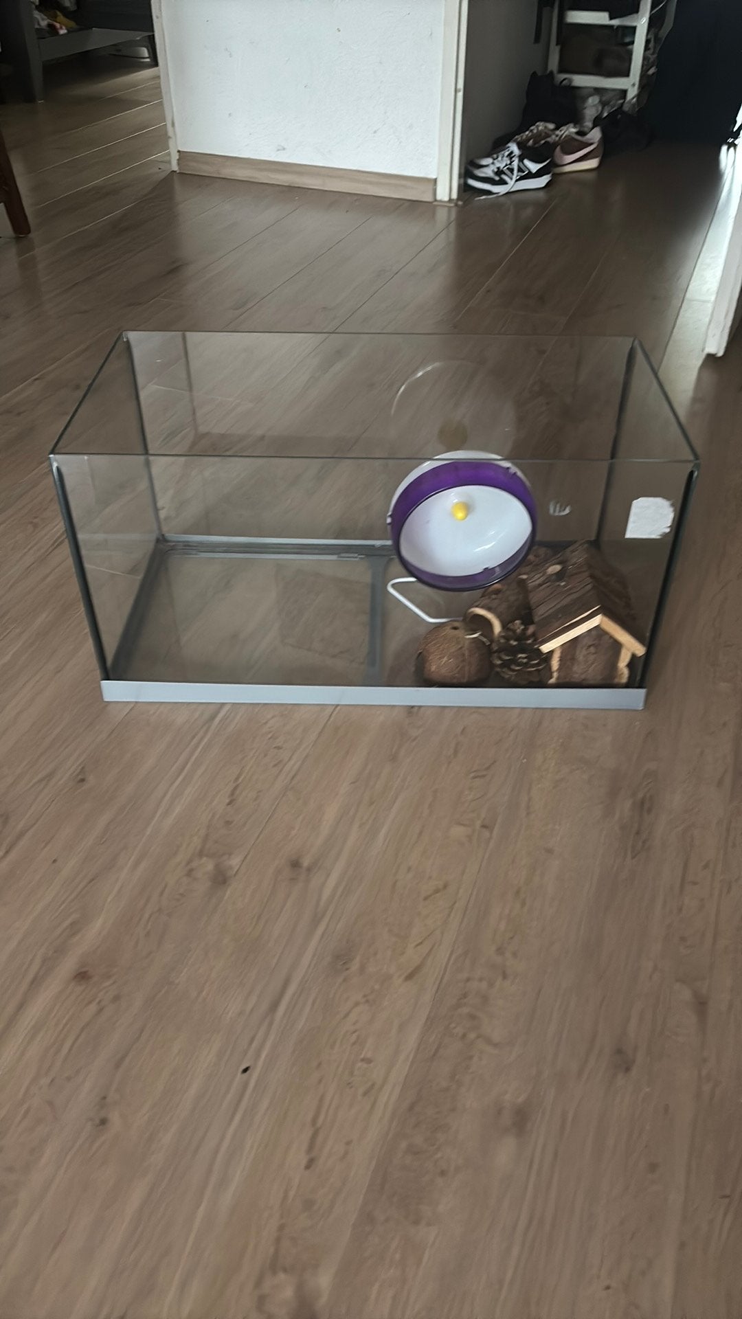 Hamster kooi/ terrarium., Kooi, Minder dan 75 cm, Zo goed als nieuw, Hamster