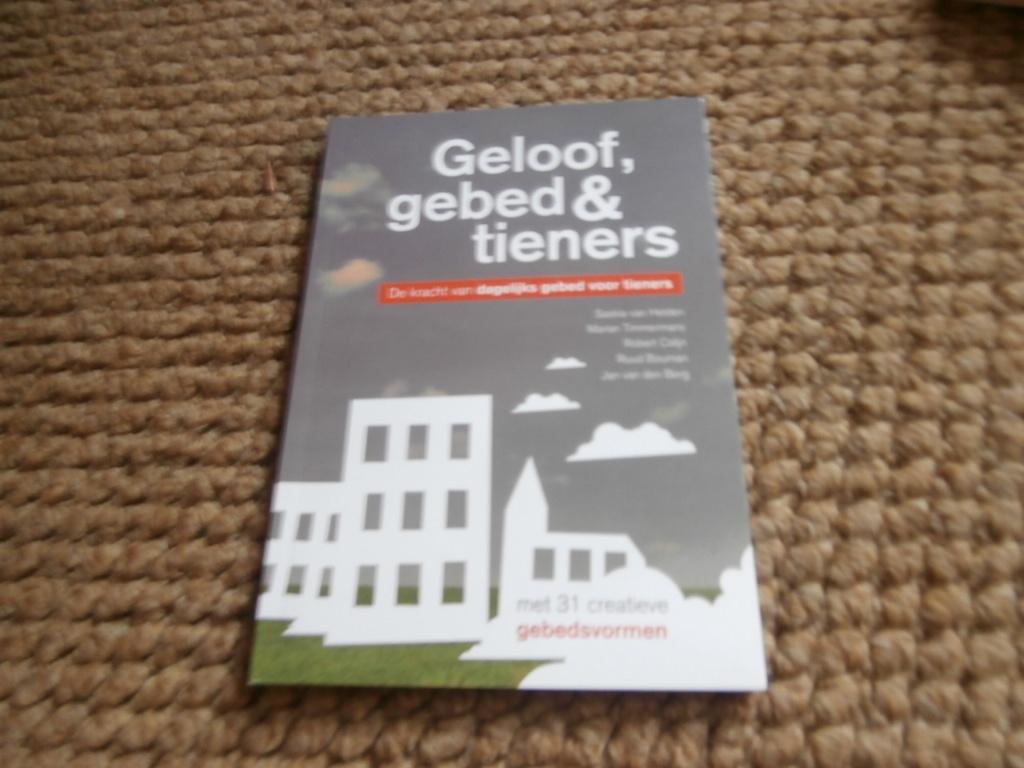 Boek Geloof Gebed en Tieners De kracht van dagelijks gebed, Ophalen of Verzenden, Zo goed als nieuw, Christendom | Protestants