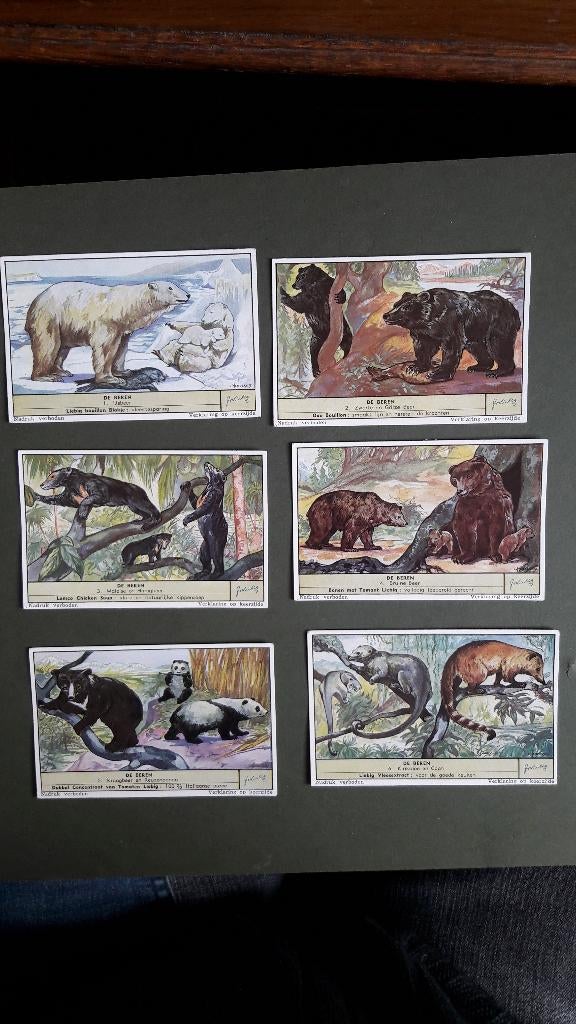 3 complete sets chromo litho,s Liebig.S 1620, S 1622, S 1637, Verzamelen, Ophalen of Verzenden, Zo goed als nieuw, 1940 tot 1960