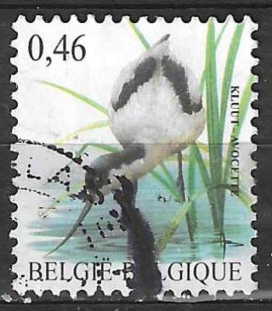 Belgie 2006 - Yvert 3464 /OBP 3479 - Buzin - Kluut (ST), Verzenden, Gestempeld, Voertuigen