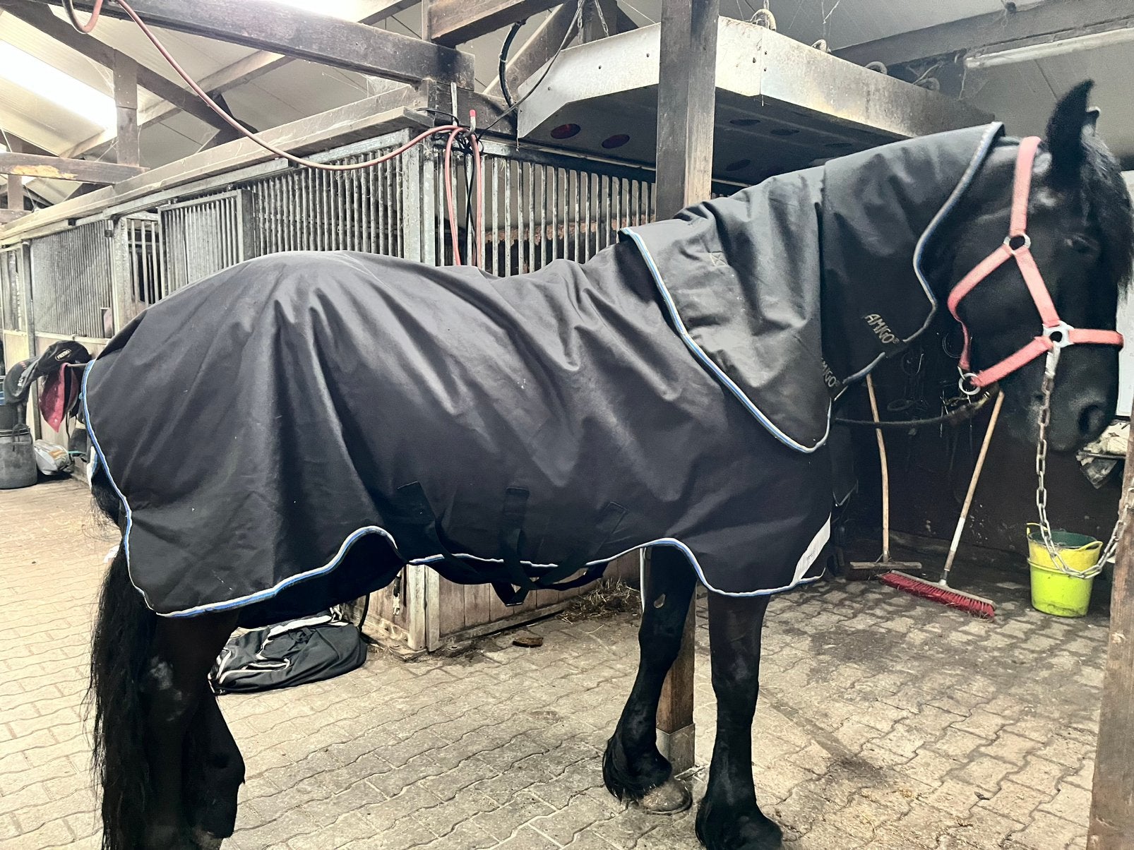 Amigo horseware 205, Ophalen of Verzenden, Zo goed als nieuw